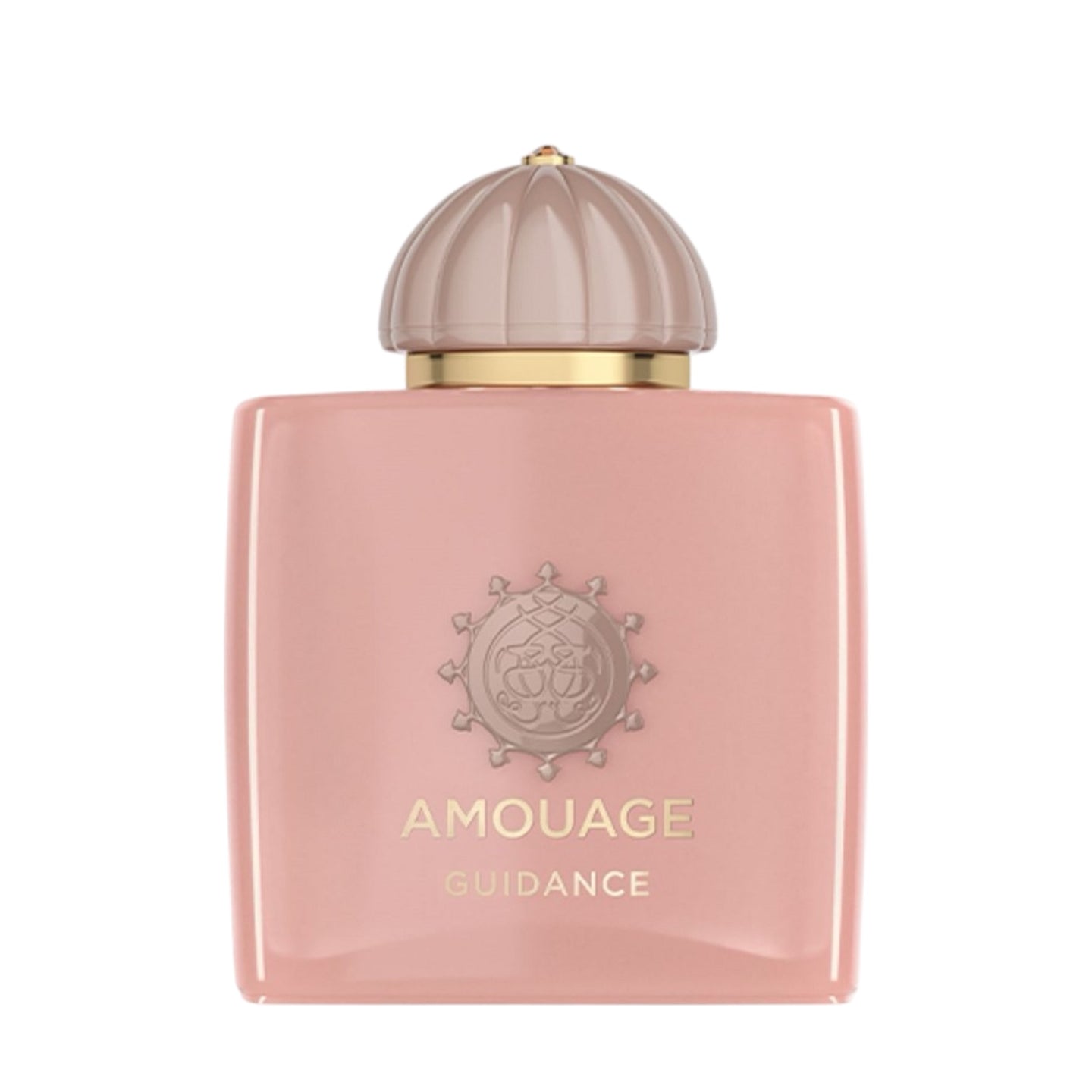 Amouage Guidance